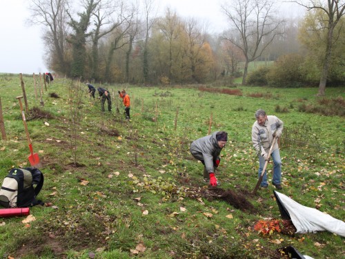 Burreken_DagNatuur_17_11_2012_1588